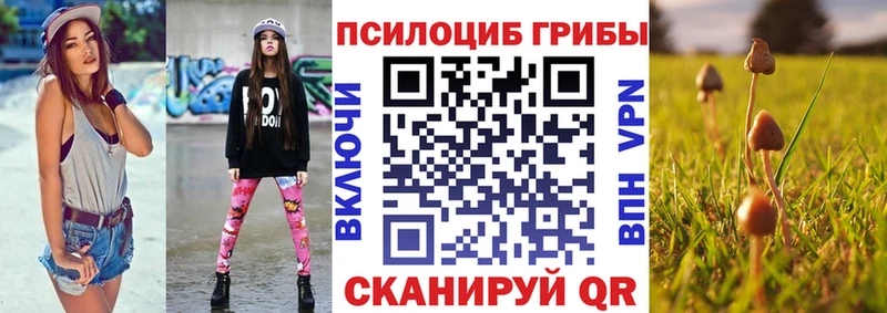сколько стоит  Жуков  Псилоцибиновые грибы Psilocybe 